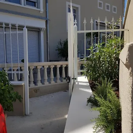 Le Citronier De La Maison Du Pont De Pierre Saint-Vallier (Drome)